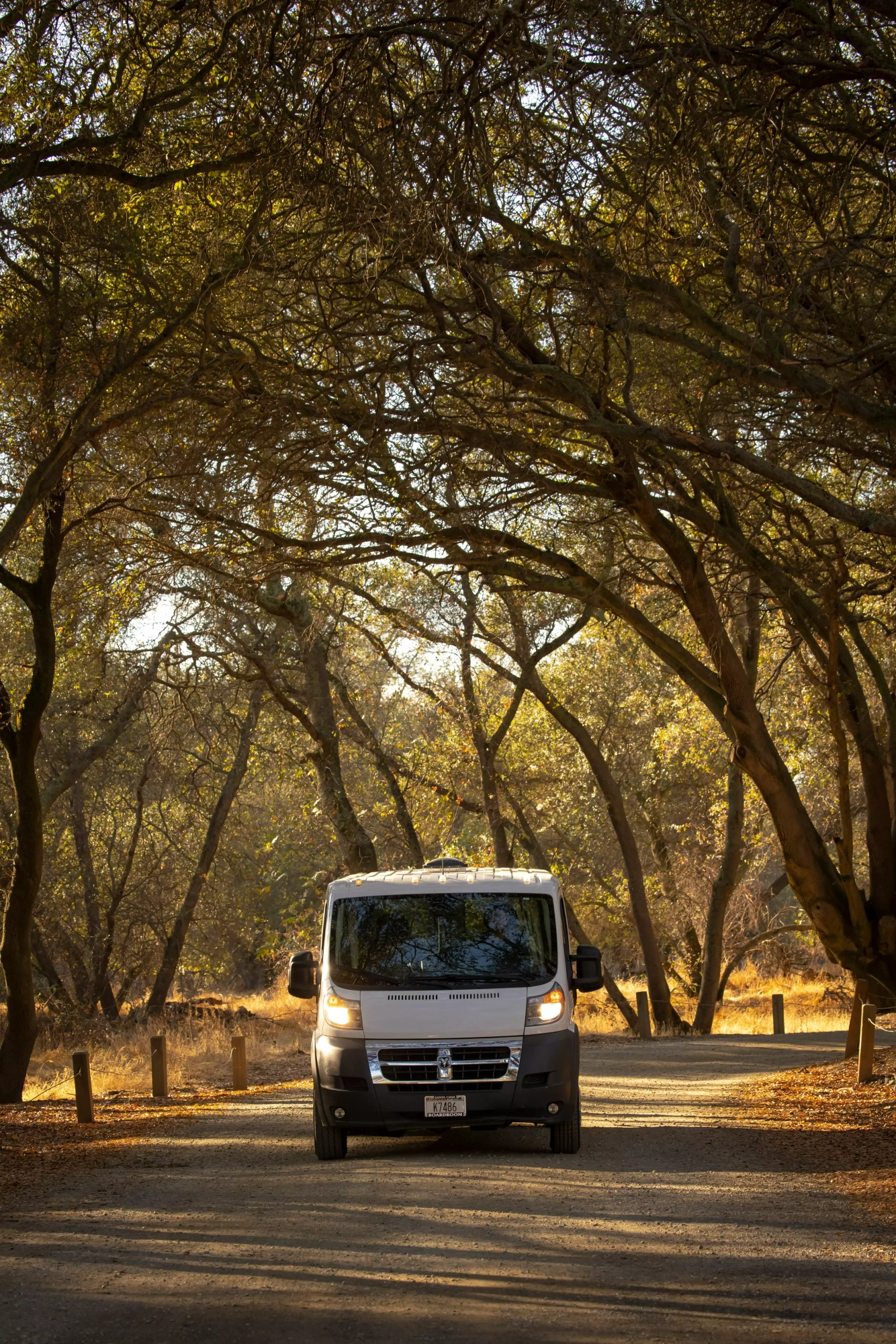 leo_visions-fqnzhKaiJ5M-unsplash