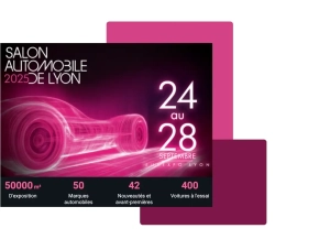 Salon de l'auto Lyon (2)